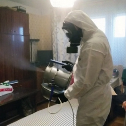 Дезинфекция от клопов в Никольском