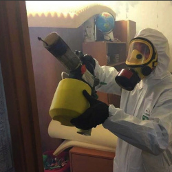 Уничтожение клопов в квартире. Никольское